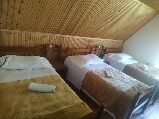 Hotel Alpini Lepushe, Akomodim te Dhoma e miqve, Bujtina Bjeshket e Kelmendit Shkoder, Agro Turizmi Albania